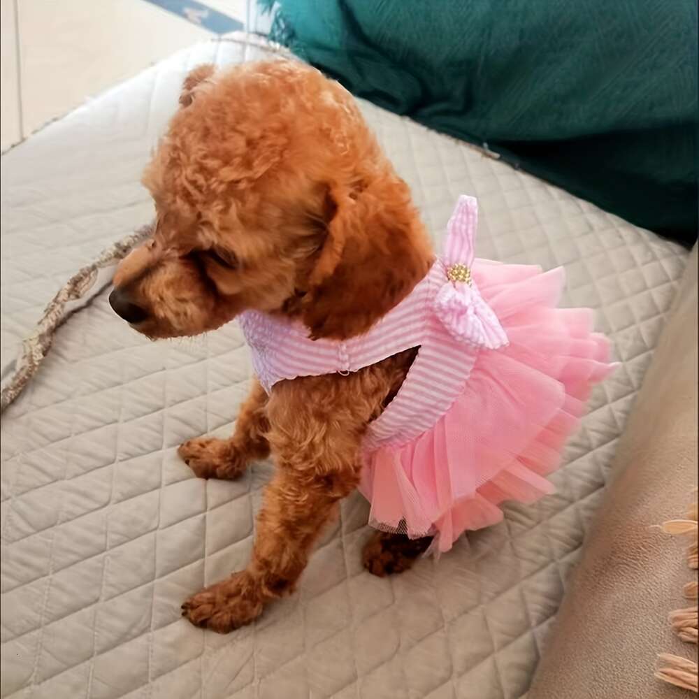 Robes d'été pour chien avec maille, nœuds, jupes tutus en dentelle – Parfaites pour votre chiot princesse