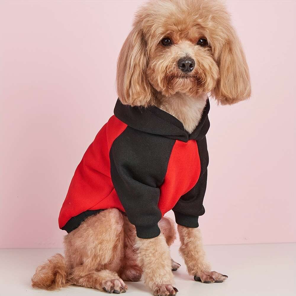 1 Stück Haustier-Kapuzenpullover mit Boxhund-Aufdruck – süßes, gemütliches Kapuzen-Sweatshirt für Hunde und Katzen