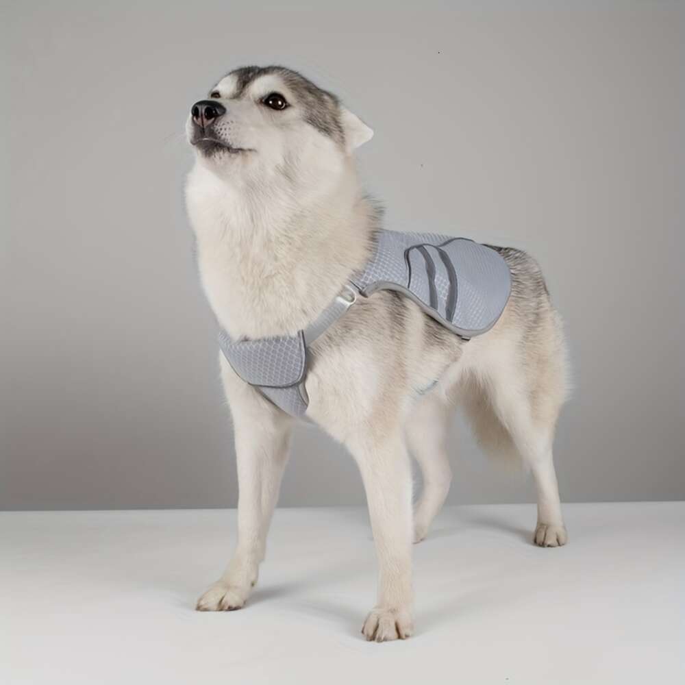 Sommarhundkläder för kylning och förebyggande av värme, cool husdjurväst