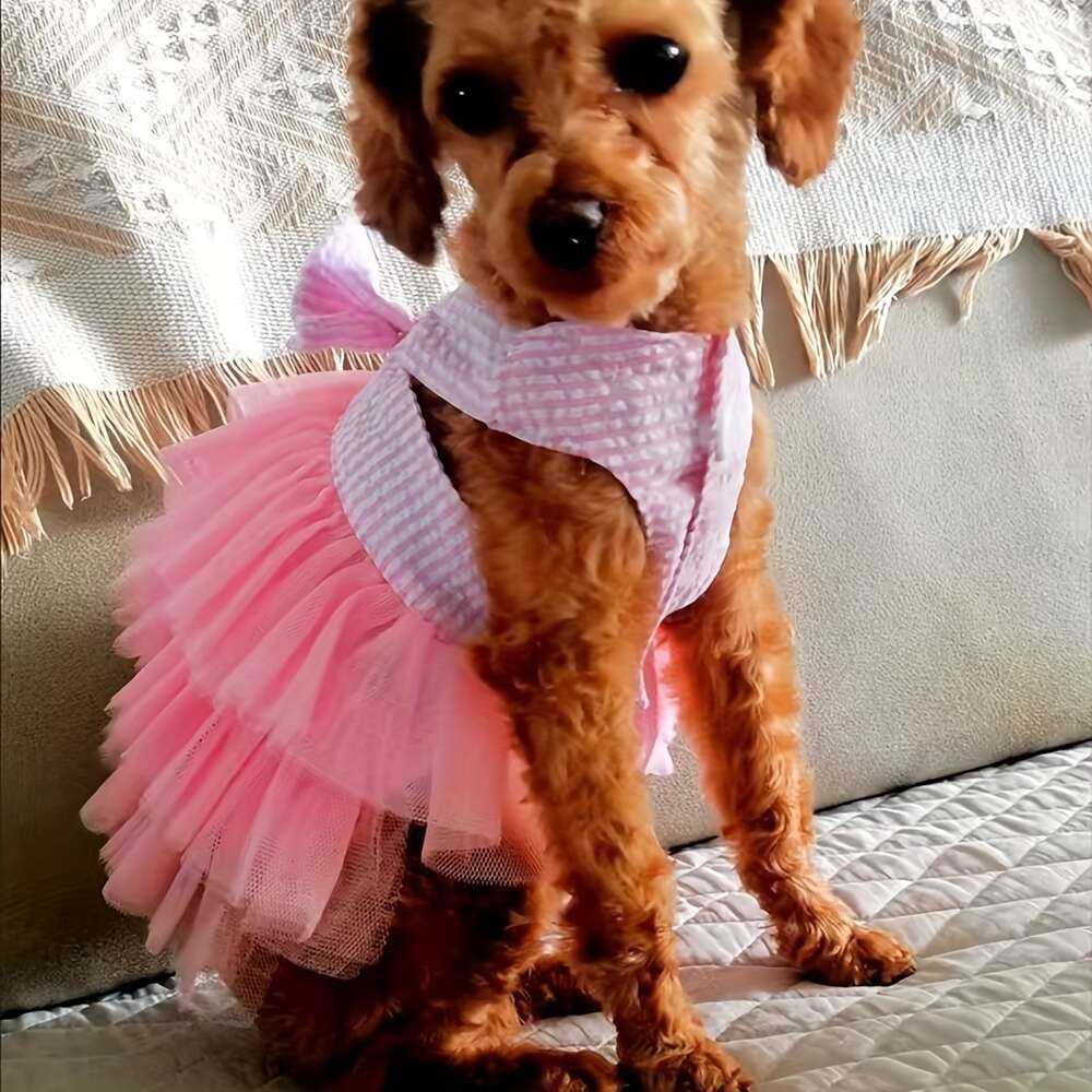 Robes d'été pour chien avec maille, nœuds, jupes tutus en dentelle – Parfaites pour votre chiot princesse