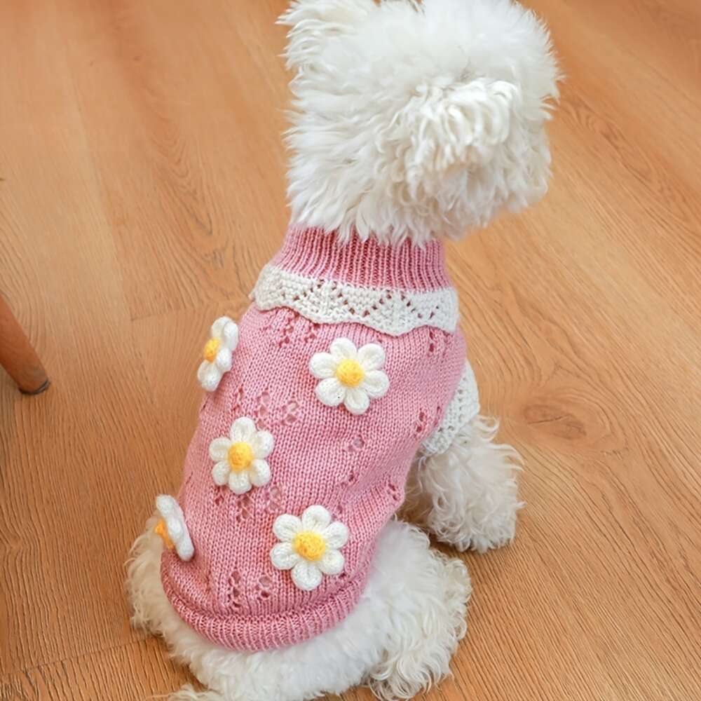 Sweat à capuche élégant en tricot cerise pour chiens de petite et moyenne taille – Gardez votre ami à quatre pattes au chaud et à la mode