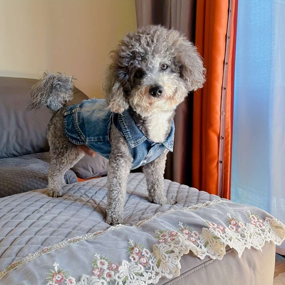 Medium hund mode denim väst - andningsbar, lättvård jeanjacka för elegant husdjur komfort cool sommarstil