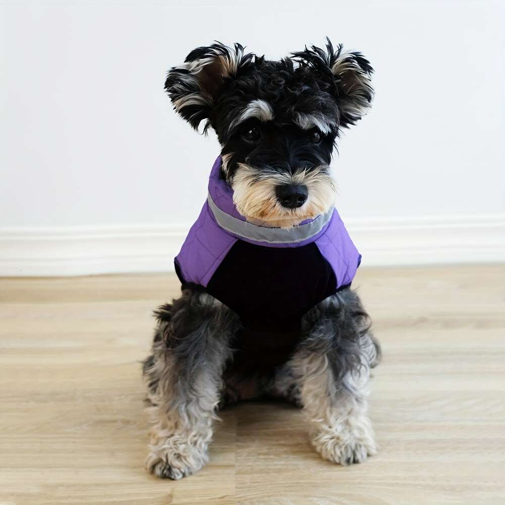 Calda giacca abbinata ai colori viola e nero, cappotto invernale impermeabile cagnolino, vestiti cani stile cerniera, abbigliamento cuccioli la stagione fredda, accogliente gilet da neve 