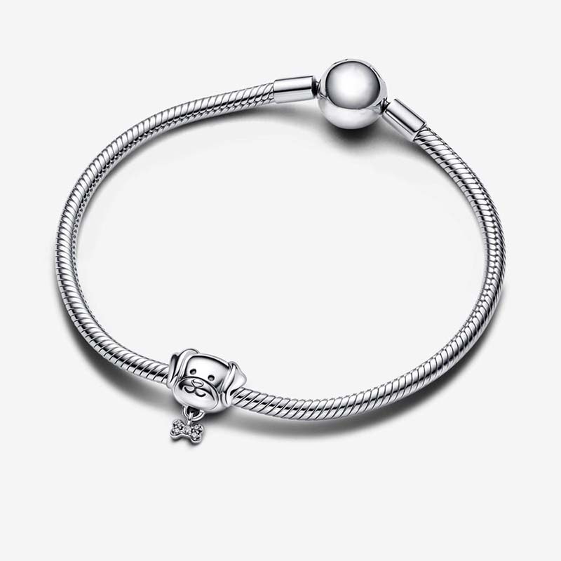 Pet Dog Bone Charm Pandoras 925 Sterling Silver Luxury Charm Set Armband Making Beaded Charms Designer Halsband Pendant Original Box Top Quality Fast Frakt