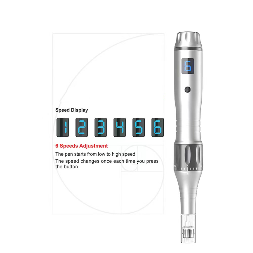 6 vitesses Dr Pen Electric Wireless Auto Micro Needling Pen avec Cartouilles à aiguille Derma Pen Skin Beauty Care Mesopen