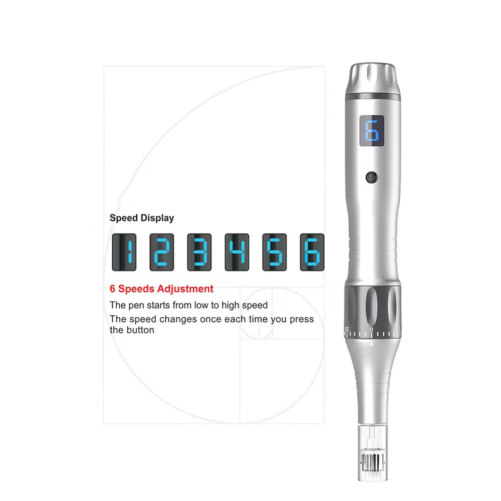 6 скоростей DR PEN Electric Wireless Auto Micro -иглолочка с 10,Pcs иглами картриджи Derma Pen Kit Skin Beauty Care Mesopen