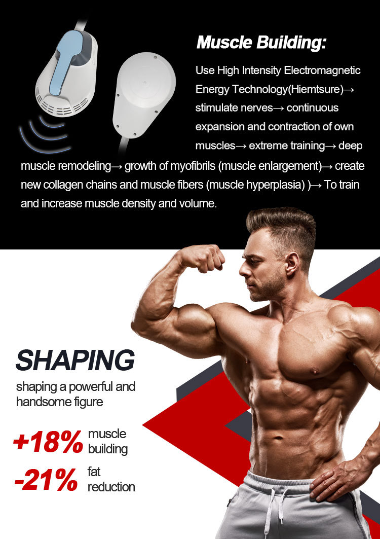 Build Muscle & Burn Fat Slimming Beauty Equipment Therapy Body Weight Loss Slimming Beauty Device