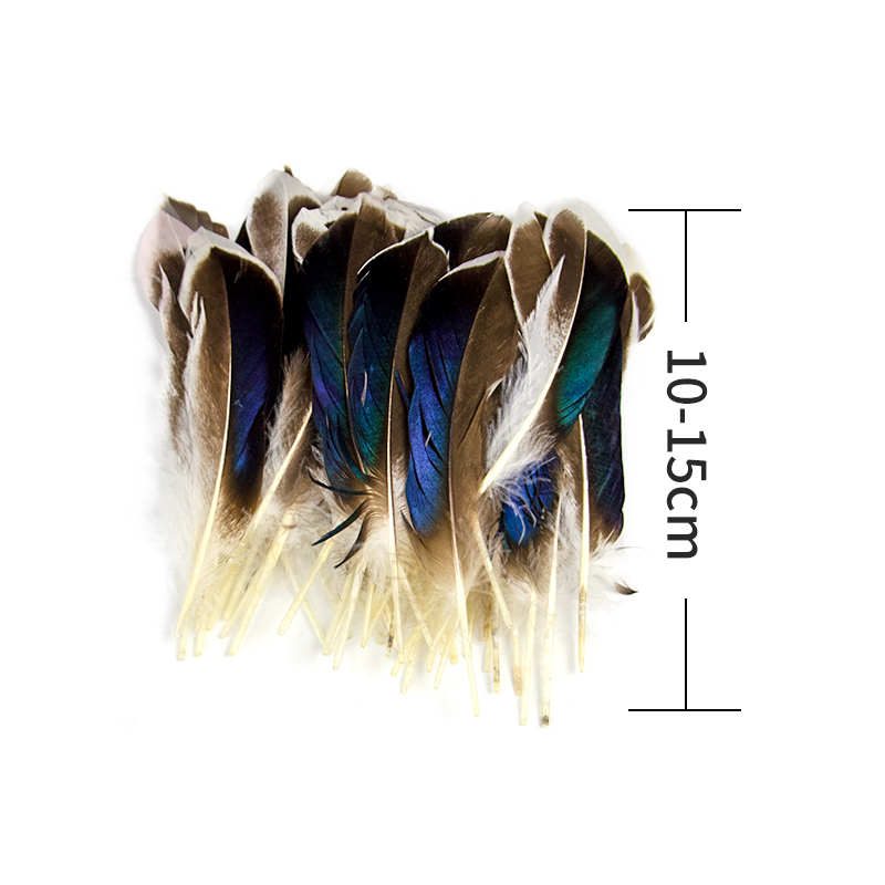 Naturalne bażanty pióra do rzemiosła w kolorze dzikiej kaczki pióropusze biżuterii Making Wedding DIY Handicraft Akcesoria