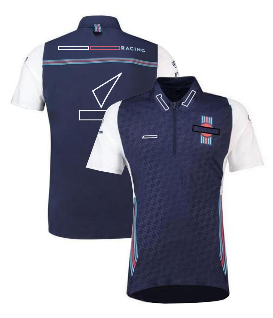 F1 T-shirt Formula 1 Team Racing Polo Shirt Short-sleeved Summer Men's Quick Dry Oversized T-shirt Tops Outdoor Sports Casual Jersey