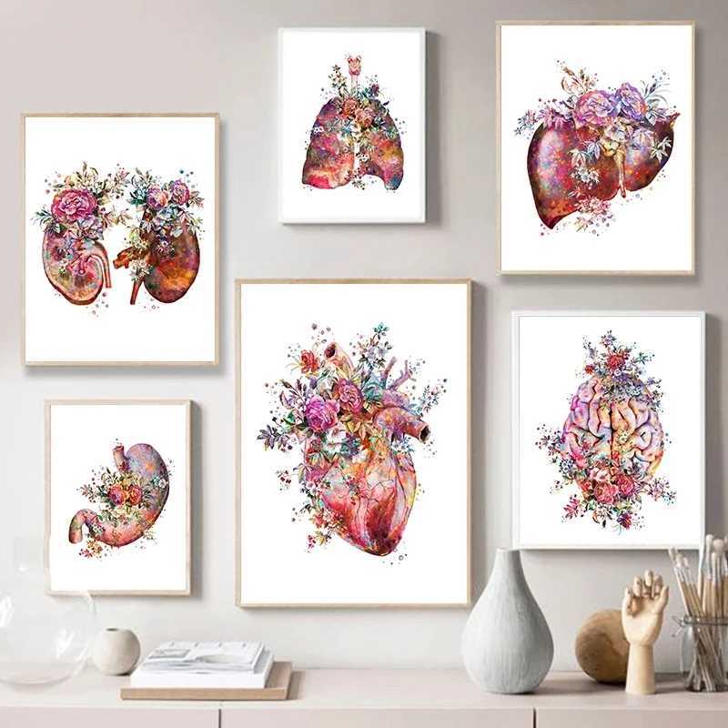 ANATOMY ART TOLE MÉDICAL PEINTURE FLOIRES COLIC COLIC ET APPIRES LUM