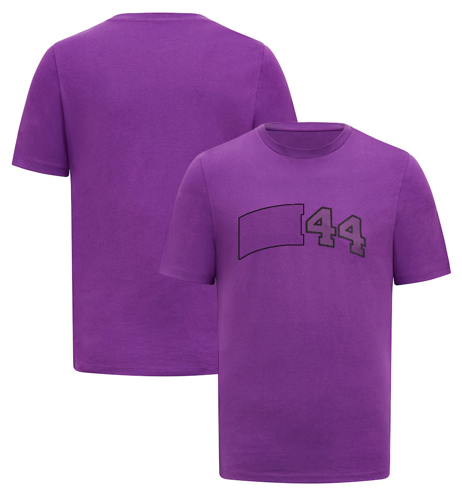 2023 Nouveau F1 Polo T-shirt Formule 1 T-shirts masculins Mentes à manches courtes Extreme Sport Racing Fans Summer T-shirt Breatch T-shirt Jersey