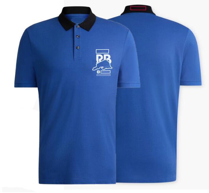 2024 Neues F1 Racing T Shirt Summer Team Polo Shirt gleicher Stil individuell angepasst