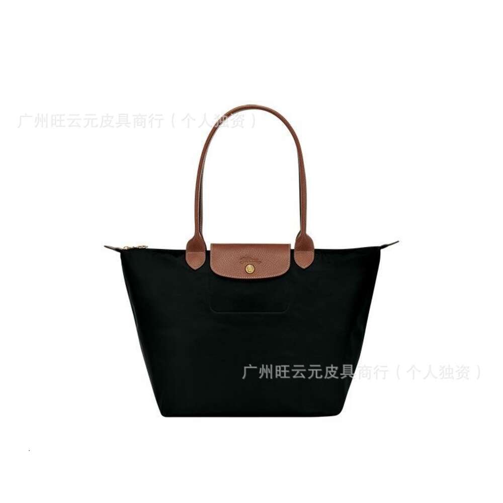 95% de réduction sur le sac d'anniversaire TOTE TOTE de grande capacité en nylon en nylon boulette petit et populaire ordinateur épaule Womenswz6i