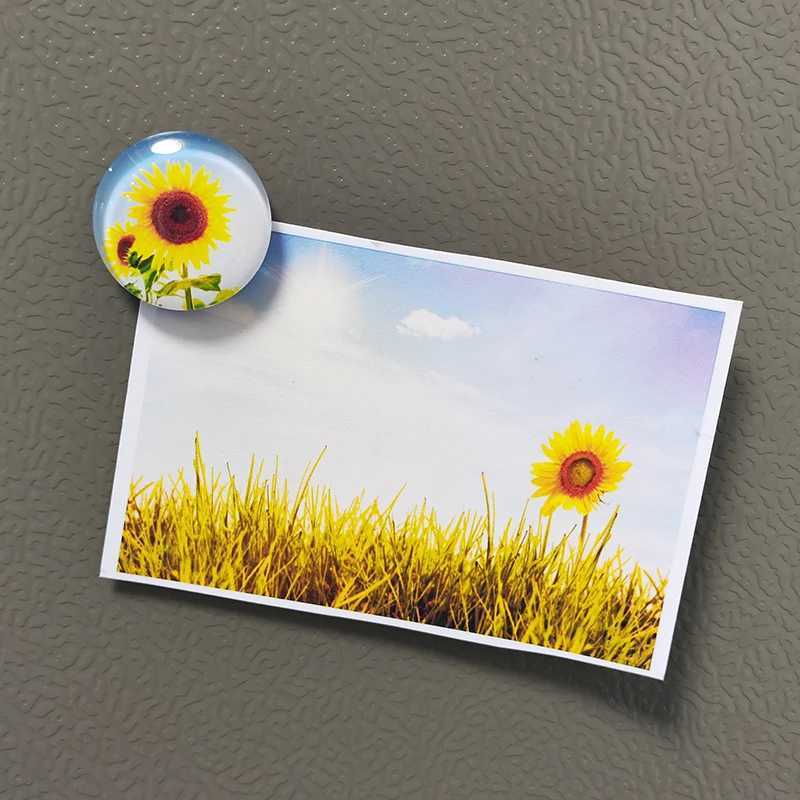 FRIDGE AIGNEMENTS 30 mm en verre de fleur Réfriglage MANGET DÉCOR HOME SUNLOWS ROSE TULIP Daisy Stickers Message Note Photo Holder