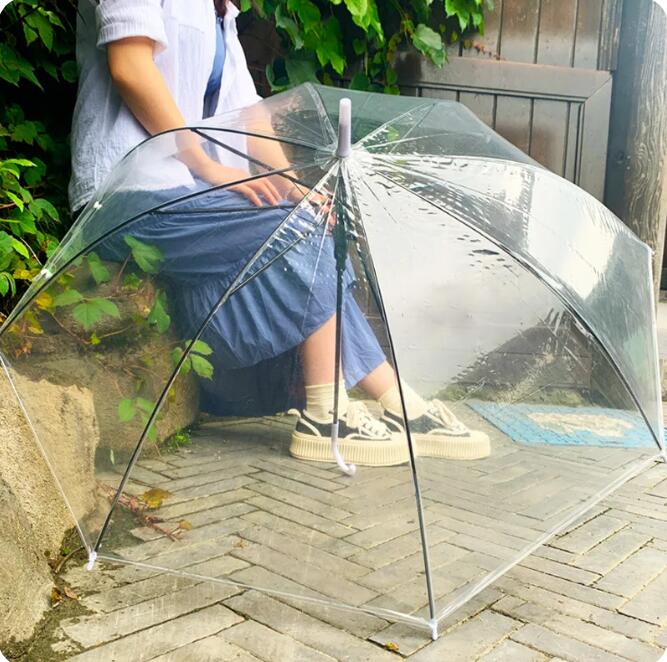 Transparent Multicolor Umbrellas Clear PVC Umbrellas Long Handle Rainproof Umbrellas wedding umbrel