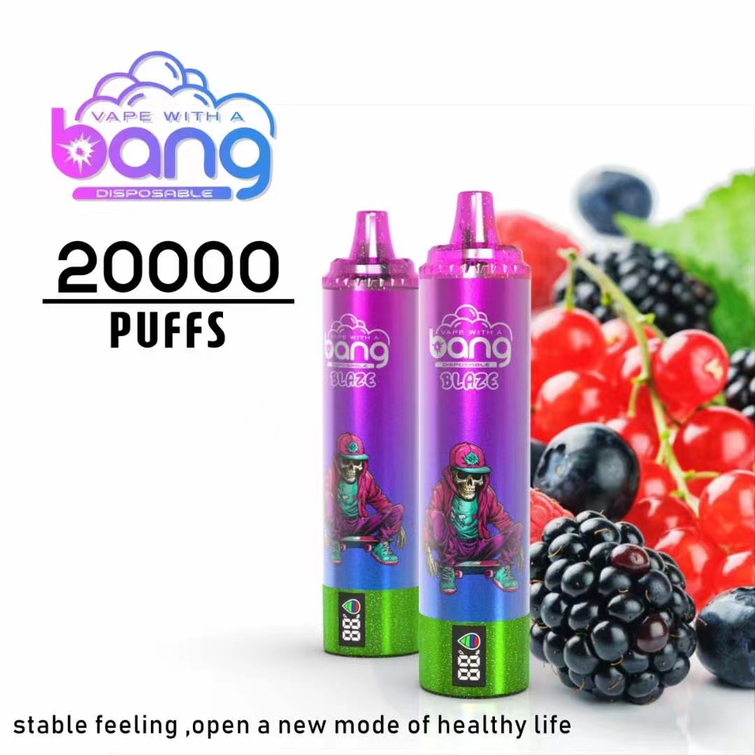 Bang 20000 Puffs E-liquide Capacité de 25 ml de batterie Capacité de batterie 850mAh Puffes 20000 Type C Charge Bang 15000 Puffs Bang Box