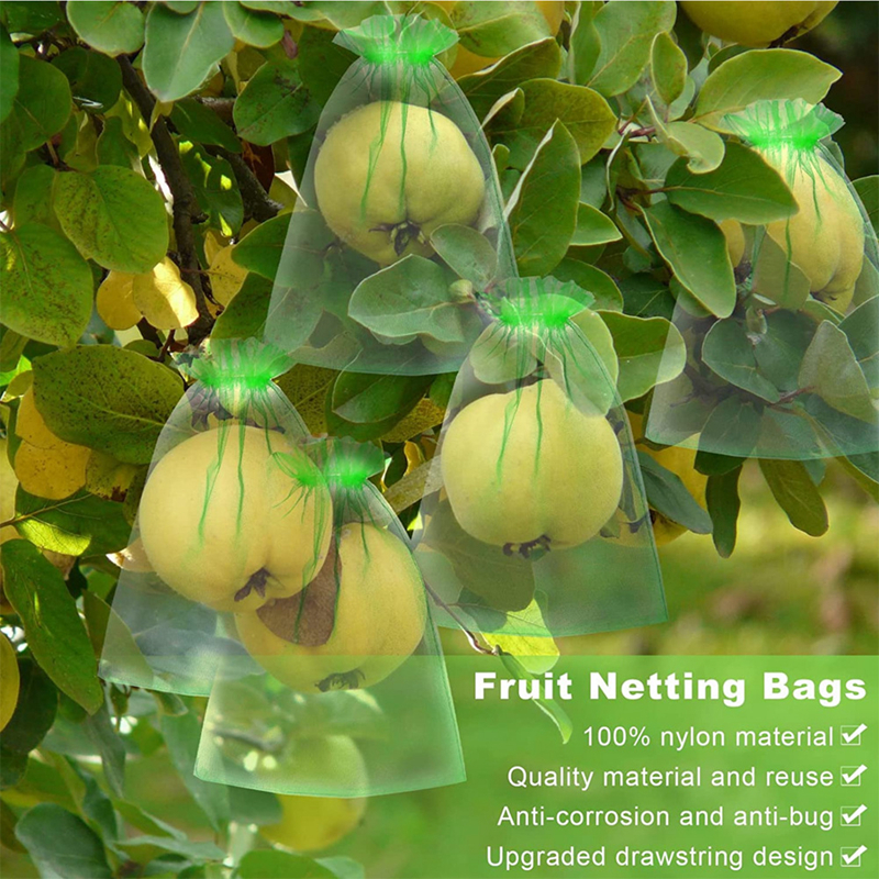 6 * 8inch Organza Sacs de protection contre les fruits Sacs de filet de fruits arbres fruitiers Couvrer le sac à serrage Barrier Netting Barrier Protéger les fruits légumes EW0261