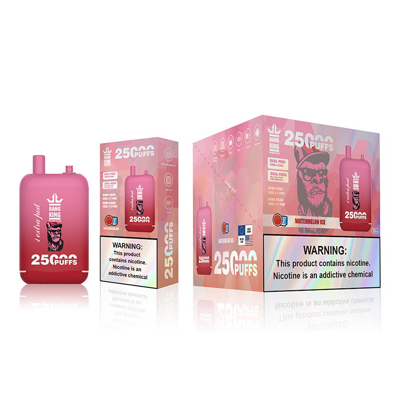 Bang King 25000 Puffs Puff 25K Disposable Vape Dual Mesh Coil E Cigarettes 12 Flavors Dual Pods 23ml+23ml Rechargeable 650mAh Vaper vs 15000 15K 12000 12K 18k 20k