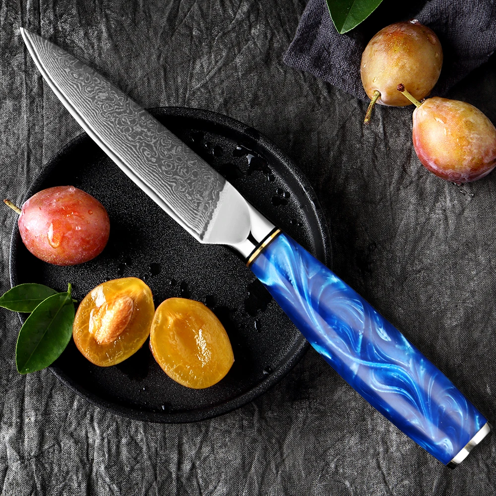 Coltello giapponese professionale Damasco in acciaio ultra acuto elite da cucina da cucina da cucina da 3,5 pollici coltellino da frutta vegetale