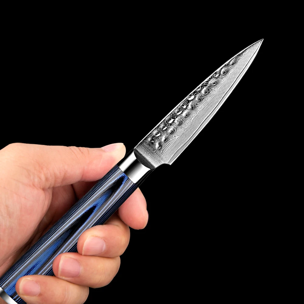 Damascus Paring Knife Fruit Knife 3.5 Inch Pro Kitchen Knife Japanese Damascus High Carbon Steel 67-Layer Fruit Carving Knife