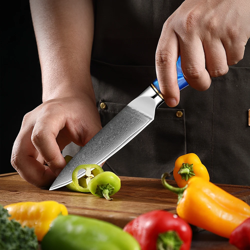 Coltello giapponese professionale Damasco in acciaio ultra acuto elite da cucina da cucina da cucina da 3,5 pollici coltellino da frutta vegetale