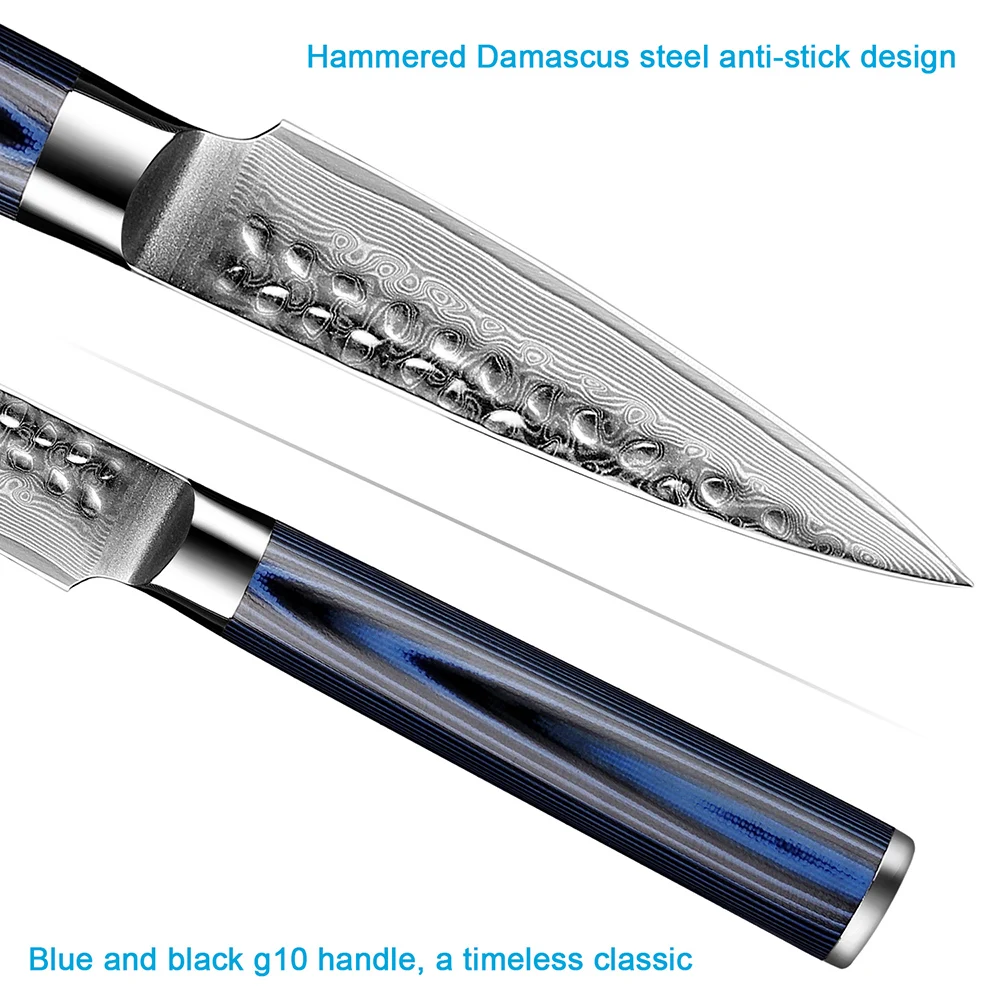 Damascus Paring Knife Fruit Knife 3.5 Inch Pro Kitchen Knife Japanese Damascus High Carbon Steel 67-Layer Fruit Carving Knife