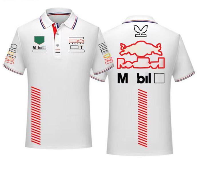 2024 New F1 Racing Polo Team Te-short Sleeve T-Shirt مخصصة