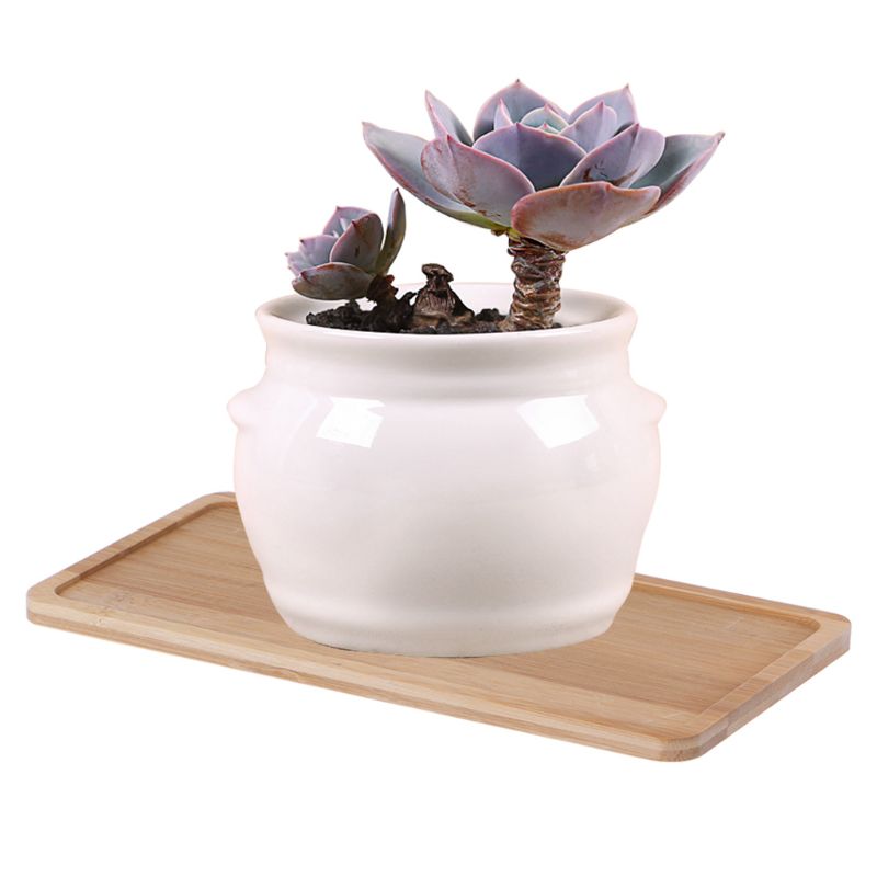 rectangle / forme ronde Bamboo Soucoucer Planter un mini plateau de fleur de plante Plant Faveur Succulent Pot Pot Tray Simple Elegant Home Decor