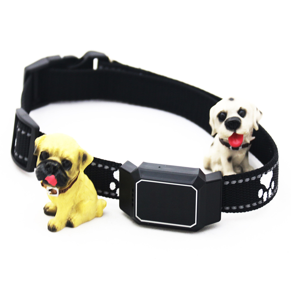 D35 localisateur d'animaux chat chien collier anti-perte localisateur GPS étanche appel vocal pour chiens de grande et moyenne taille