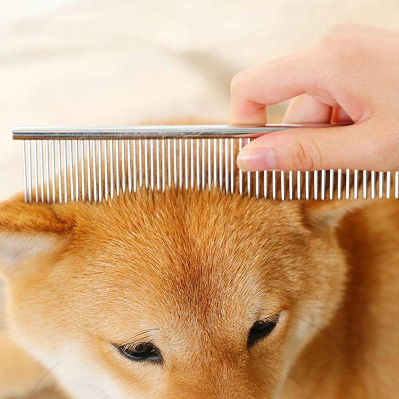 Husdjurskam rostfritt stål husdjur grooming kam för hundar och katter tar försiktigt bort lös underrock loppkam