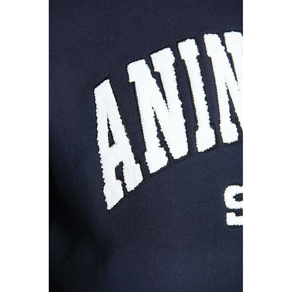 Anime hoodie 22 Early Autumn New Women's Ab Classic Letter Handcranked Borduured binnenste fleece losse ronde nek trui