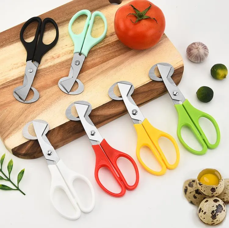 Egg Tools Ups Quail Egg Tools Scissors  Bird Stainless Steel Cutters Opener Shell Utensils For Kitchen SN5169