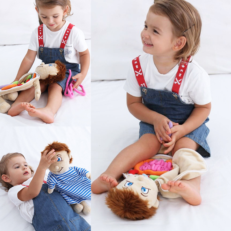 Dzieciowe ludzkie ciało model anatomia pluszowa zabawka Montessori uczenie się anatomiczne narządy wewnętrzne Montaż zabawki narzędzie do nauczania przedszkola