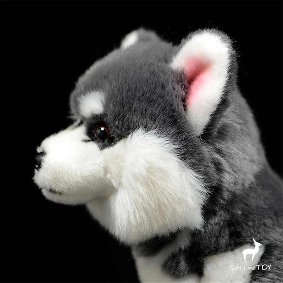 Alaskan Malamute Anime Cute Plushie Dog Toys Plushiele Animali Life Simulazione bambola di peluche Kawai Toy Gifts Kids 240325