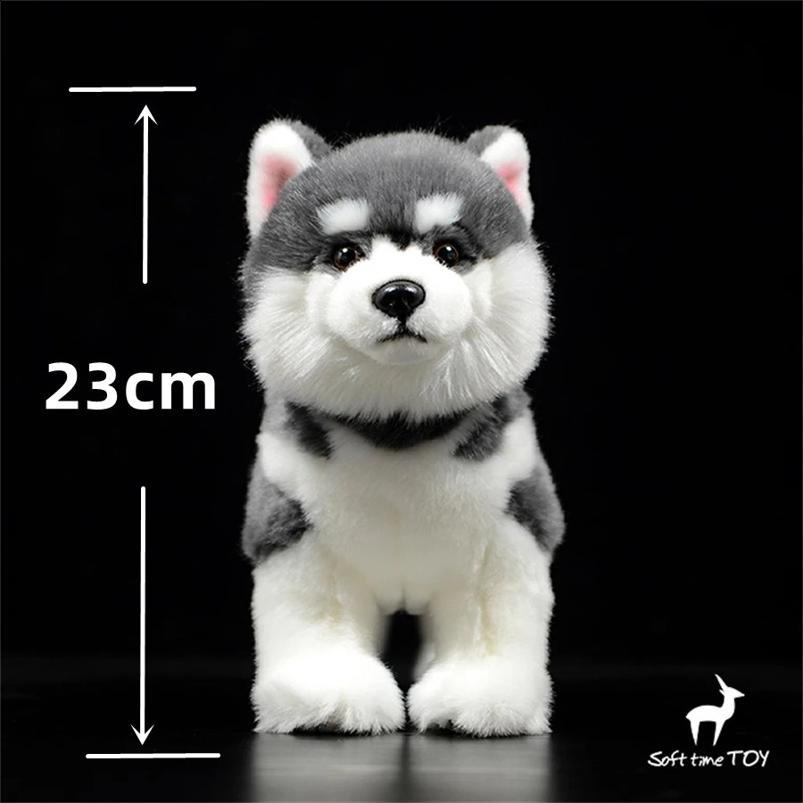 Alaskan Malamute Anime Cute Plushie Dog Toys Plushiele Animali Life Simulazione bambola di peluche Kawai Toy Gifts Kids 240325