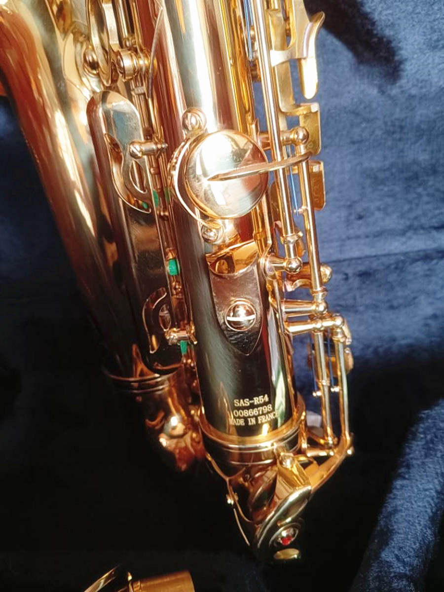 Clássico SAS-R5454 E-flat Alto saxofone lacado Brass de ouro esculpida em um instrumento de jazz de fabricação francesa de fabricação francesa com estojo com estojo