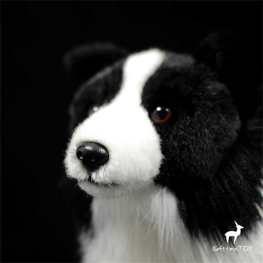 Films TV Toy en peluche Border Collie High Fidelity Anime mignon en peluche mouton Jouages en peluche Animaux réels simulation de poupée en peluche Kawai Toy Cadeaux 240407