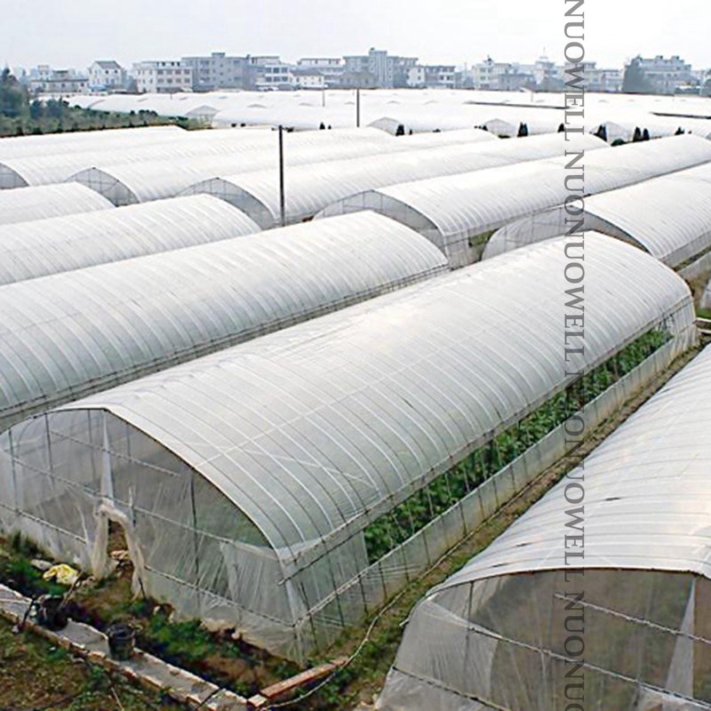 Wholesale 150m/Roll 0.08mm Thicken Agriculture Film Rain-proof Tarpaulin Greenhouse PE Plastic Film Garden Plant Keep Warm Film