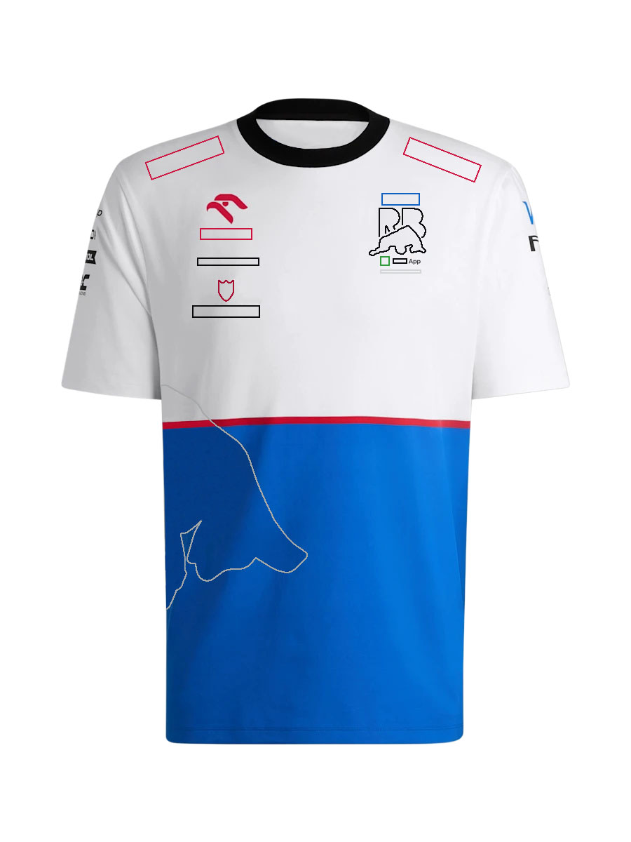 F1 T-shirt för män 2024 Formel 1 Team Logo T-shirt Zip Collar Polo Shirt Ny säsong Racing fans Fashion Crew Neck Short Sleeve Jersey