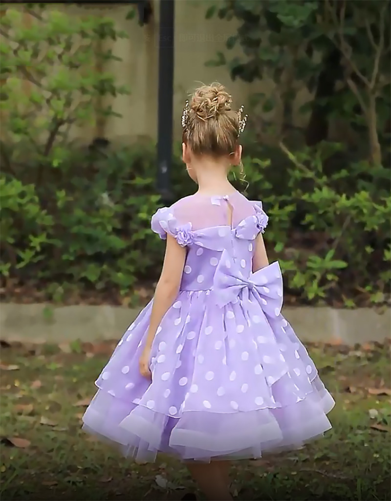 Pretty Purple Blue Pink Jewel Girl's Birthday/Party Dresses Girl's Pageant Dresses Flower Girl Dresses Girls Everyday Skirts Kids' Wear SZ 2-10 D409300