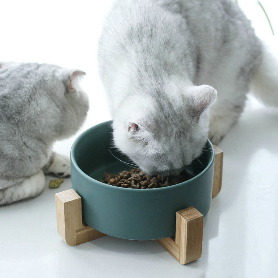 مرتفعة من السيراميك مرتفعة القطة وعاء الحيوانات الأليفة غذاء الماء تغذية القطط الكلاب تغذية وعاء