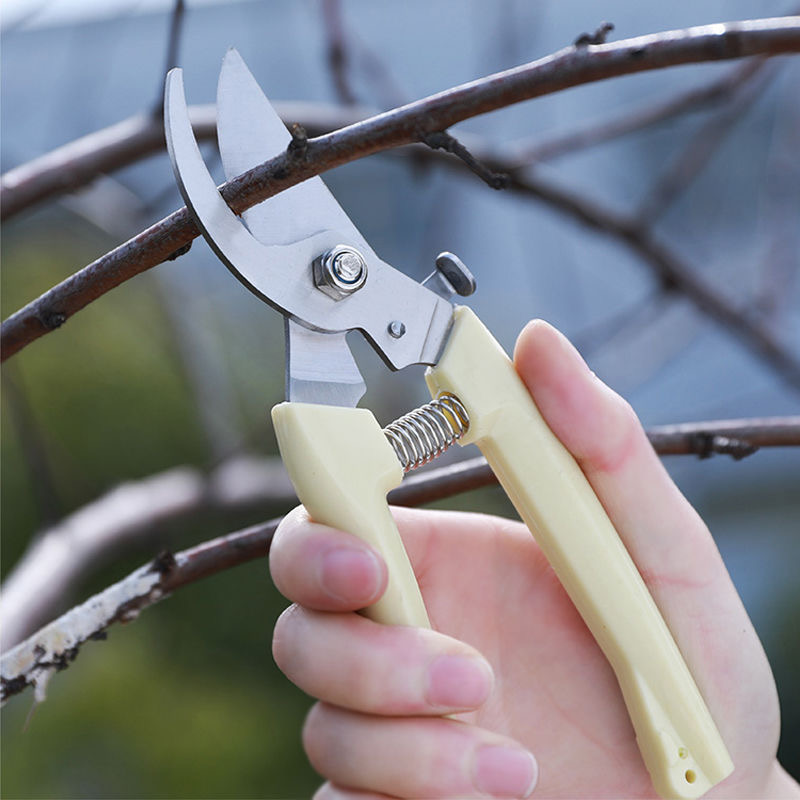 Gethovtrimmer Multipurpose kvist och blommor i skjuvor för trädgårdsgrisklippningsaxar med serrerade blad