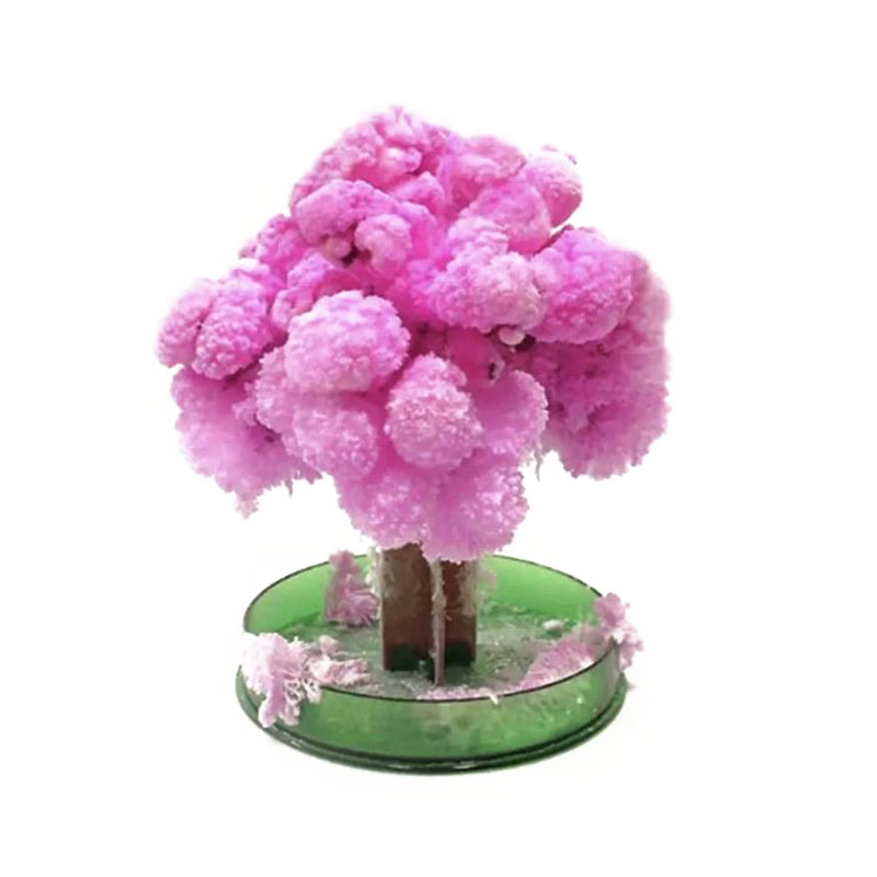 Hot 1/2st Magic Japanese Sakura Tree Christmas Tree Paper Blossoming Paper Crystal Trees Kids Diy Toy NDS