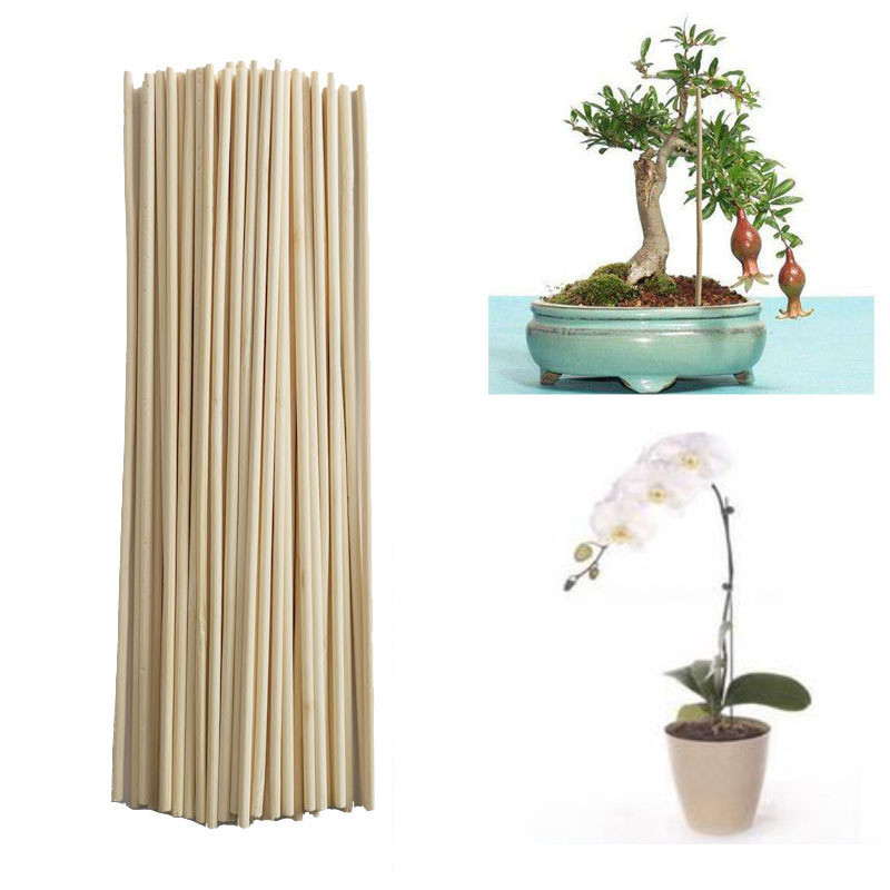 ！木製の植物は、花の杖林の竹製の植物の棒を支える木製の植物植物植物植物園の盆栽ツール