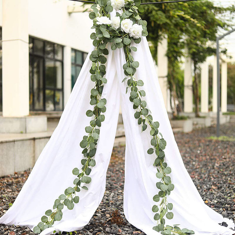 ユーカリは植物を去ります