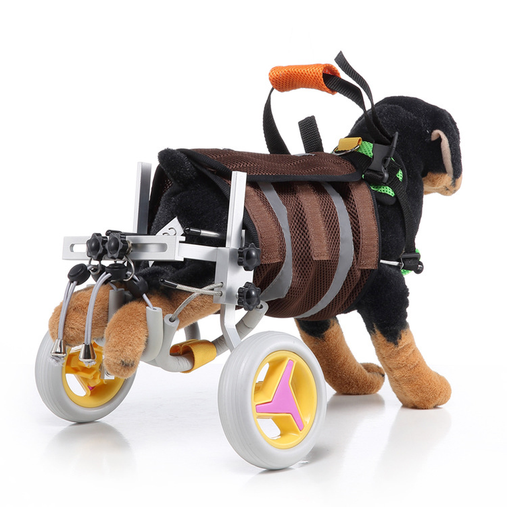 Aggiorna una sedia a rotelle animali domestici cane disabili, scooter cane, disabili deboli, zampe posteriore handicap, veicolo a piedi a 2 ruote a piedi