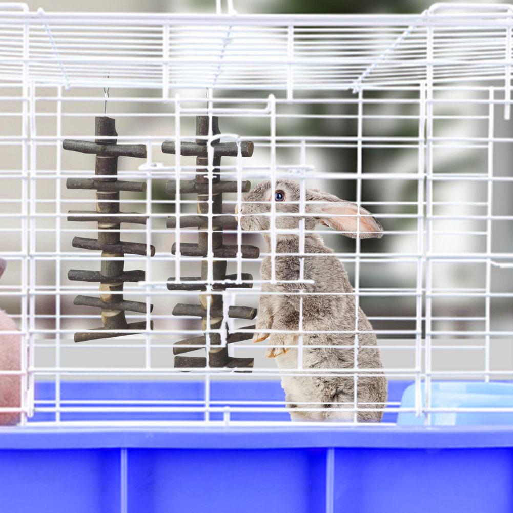 Bunny mâcher jouet naturel pomme en bois molaire molaire dentaire dentaire mât