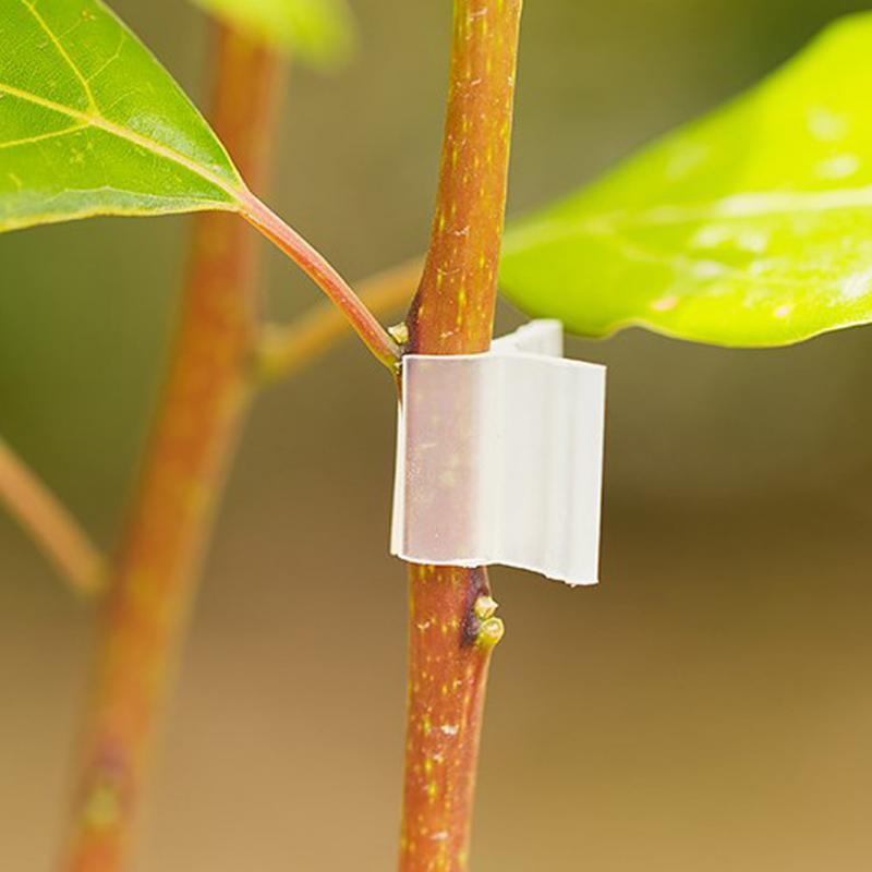 Plant Clip Clip pomidor ogrodniczy kwiat sadzonki plastikowy plastikowy zaciśnij karta szczepienia sadzonek