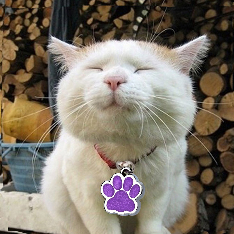 25mm köpek kedi Pet Kimlik Etiketleri Yansıyıcı Pet Tedarik Parlak Glitter Pençe Şekeri Pet Köpek Kedi Kimlik Tag Anahtarlık Pençe Baskı Etiketi