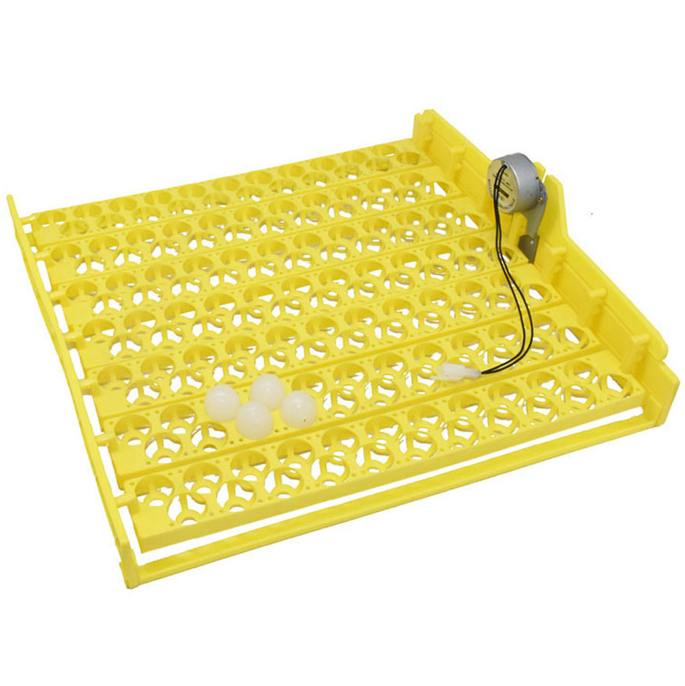 Incubadora de ovo automática 154 ovos de pássaros plásticos Máquina de tração de ovos de frango de pato 220V DC12V